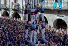 Estadísques diada de Sant Narcís