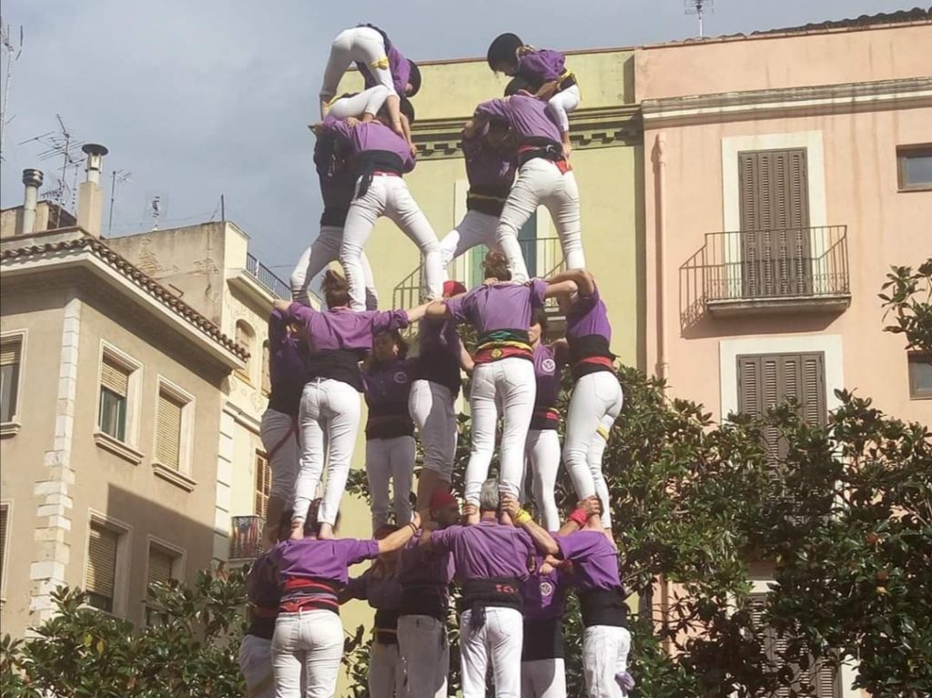 CCF 7d7