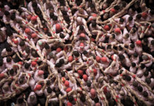 Protegit: Estadístiques 2019 | 2018 | 2017 | 2016 | 2015