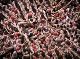 Protegit: Estadístiques 2019 | 2018 | 2017 | 2016 | 2015