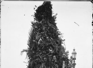 Els primers castells bastits per la Diada