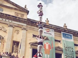 Estadístiques Diada de Santa Tecla