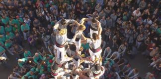 Recull de vídeos del 1 al 6 de NOVEMBRE