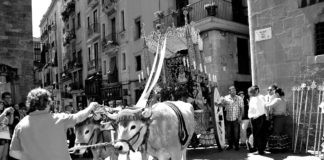Castells, Rocío i guiris