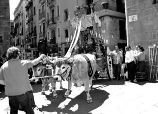 Castells, Rocío i guiris