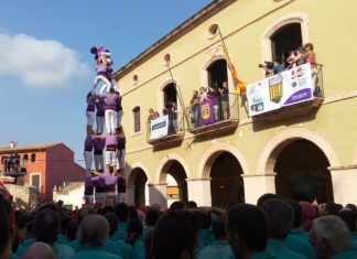 Estadístiques de la Diada de les Cultures