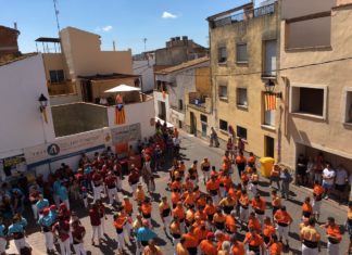 Estadístiques Diada dels Bous de la Bisbal