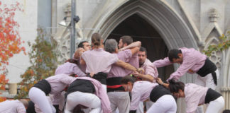 Estadístiques Diada dels Minyons
