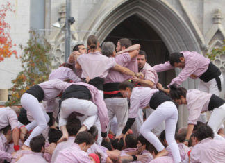 Estadístiques Diada dels Minyons